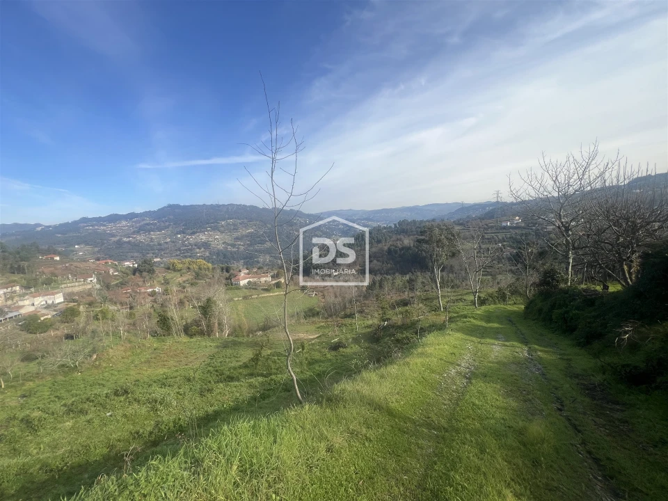 Quinta T0 para Venda em Santiago de Piães Foto 6