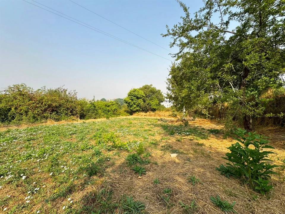 Terreno Agricola ou Rústico para Venda em Repeses e São Salvador Foto 1