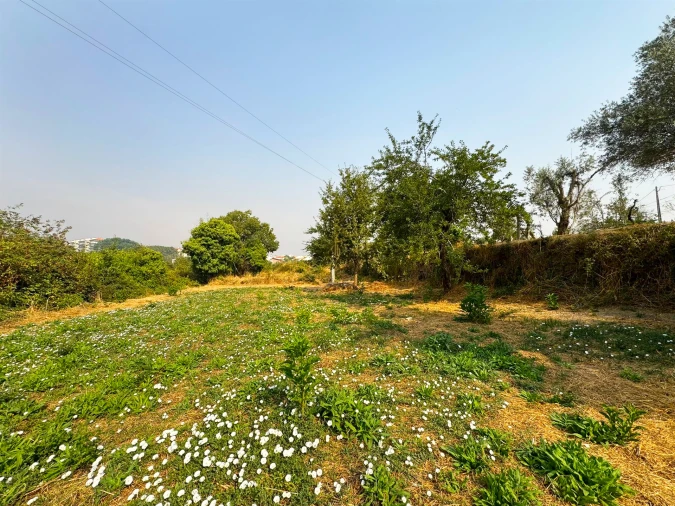 Terreno Agricola ou Rústico para Venda em Repeses e São Salvador Foto 5