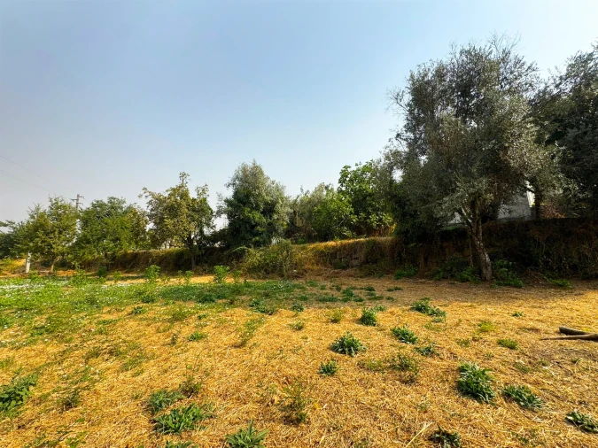Terreno Agricola ou Rústico para Venda em Repeses e São Salvador Foto 4