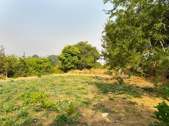 Terreno Agricola ou Rústico para Venda em Repeses e São Salvador Foto 2