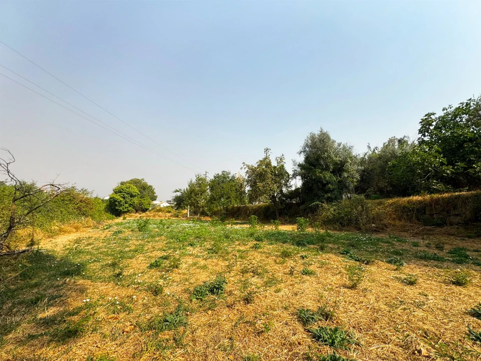 Terreno Agricola ou Rústico para Venda em Repeses e São Salvador Foto 6