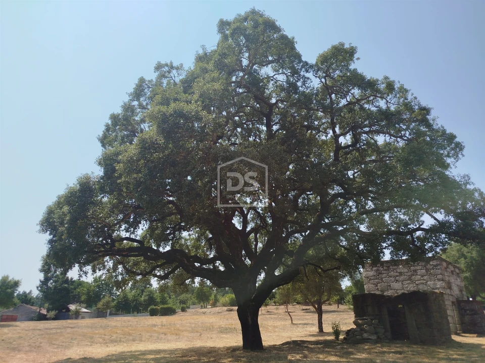 Terreno para Venda em Cabanas de Viriato Foto 38