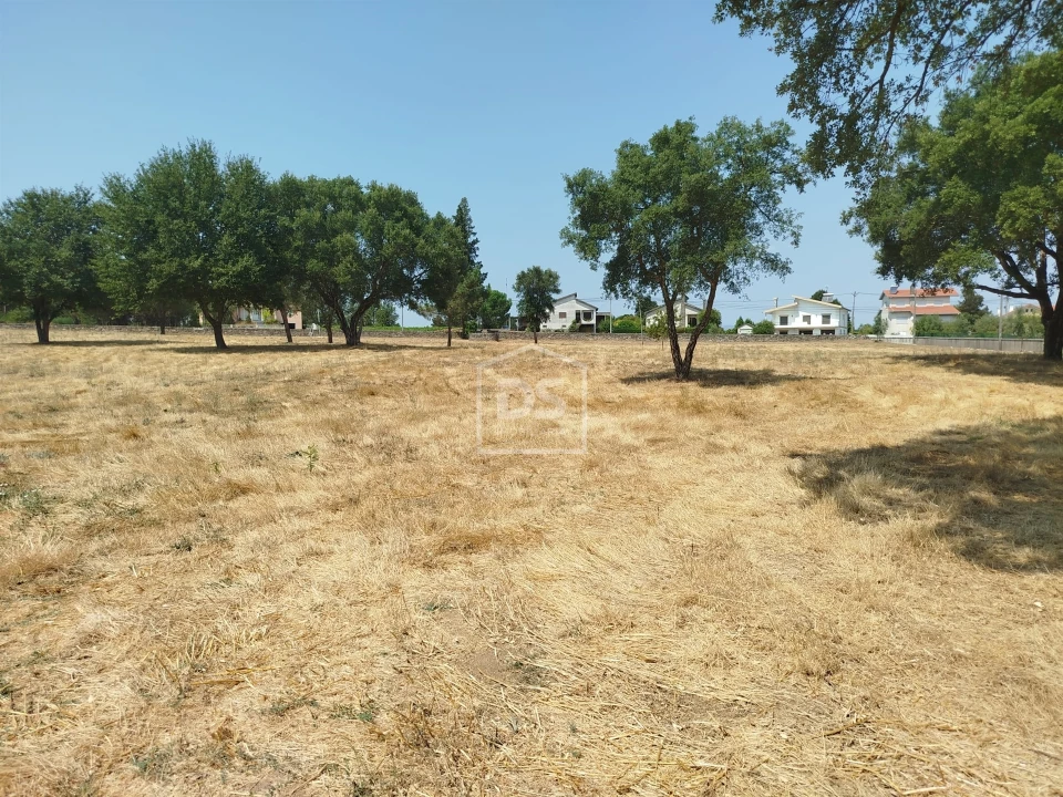 Terreno para Venda em Cabanas de Viriato Foto 29