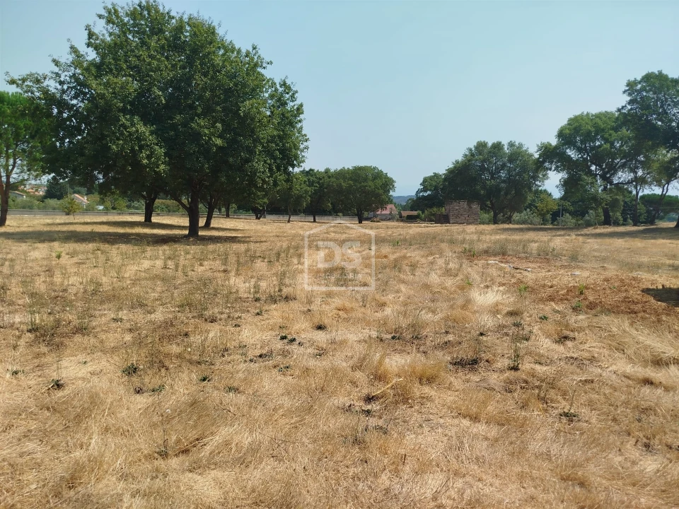 Terreno para Venda em Cabanas de Viriato Foto 25