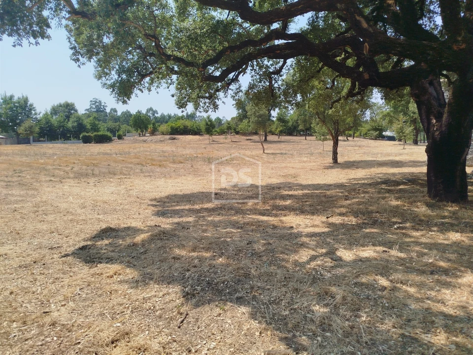 Terreno para Venda em Cabanas de Viriato Foto 39