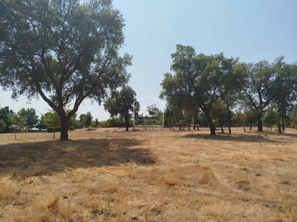 Terreno para Venda em Cabanas de Viriato Foto 30