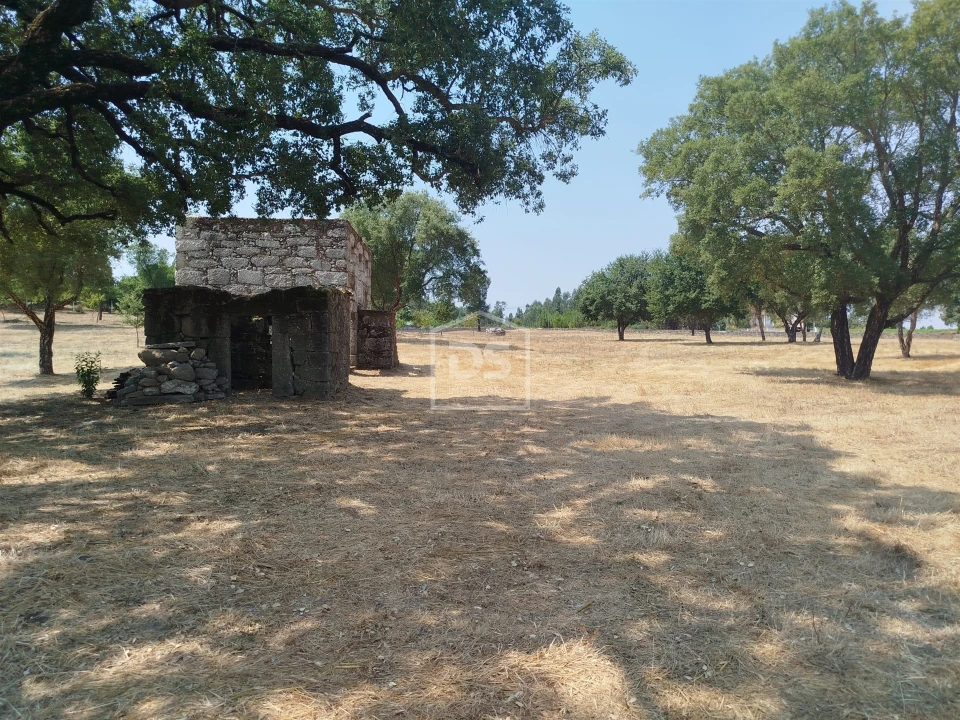 Terreno para Venda em Cabanas de Viriato Foto 35