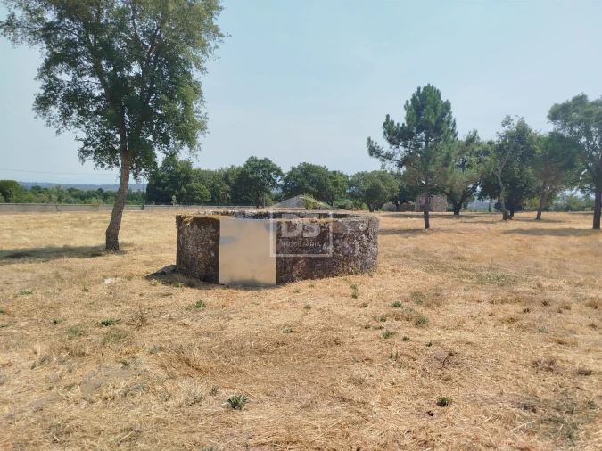 Terreno para Venda em Cabanas de Viriato Foto 12