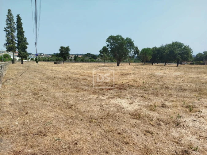 Terreno para Venda em Cabanas de Viriato Foto 15