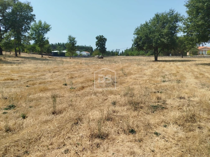 Terreno para Venda em Cabanas de Viriato Foto 27