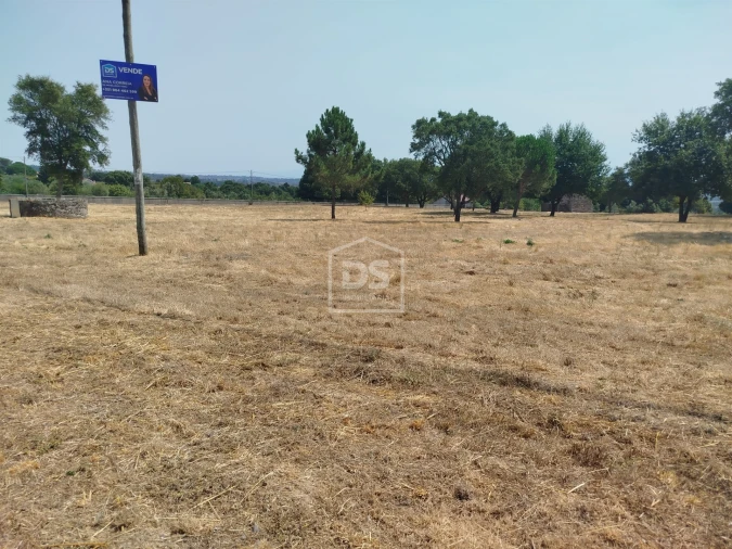 Terreno para Venda em Cabanas de Viriato Foto 17