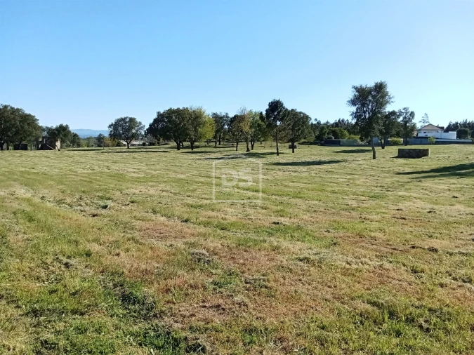 Terreno para Venda em Cabanas de Viriato Foto 13