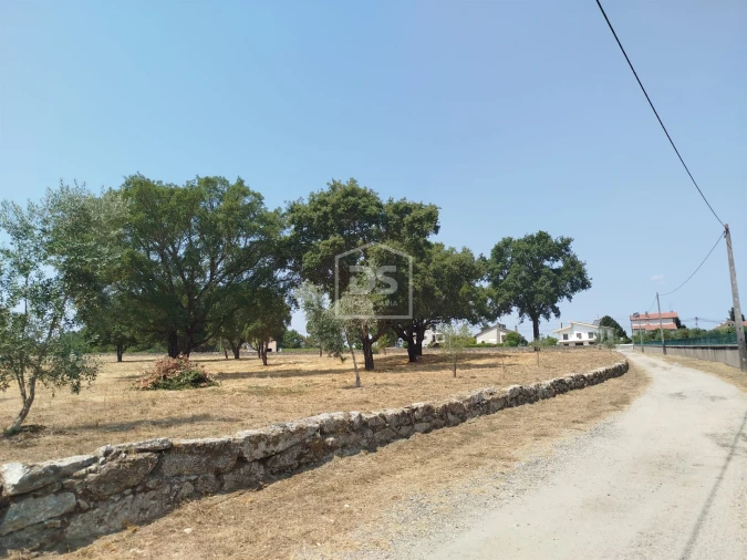 Terreno para Venda em Cabanas de Viriato Foto 42