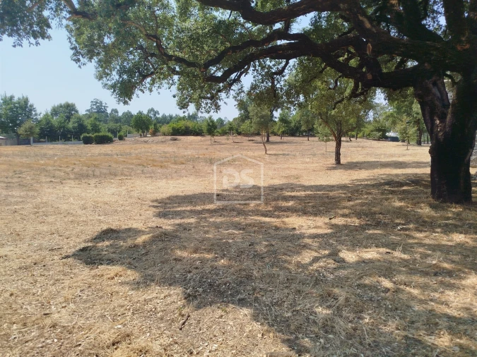 Terreno para Venda em Cabanas de Viriato Foto 39