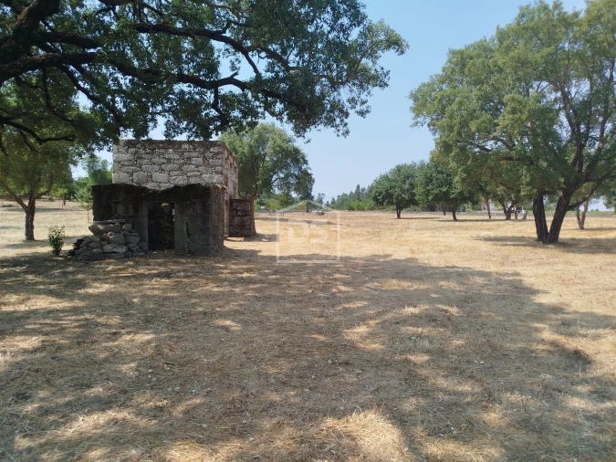 Terreno para Venda em Cabanas de Viriato Foto 35