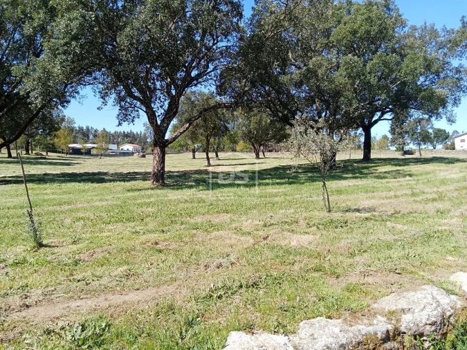 Terreno para Venda em Cabanas de Viriato Foto 9
