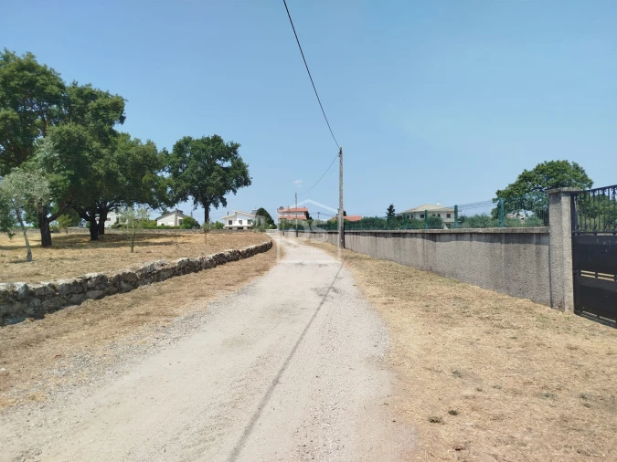 Terreno para Venda em Cabanas de Viriato Foto 37