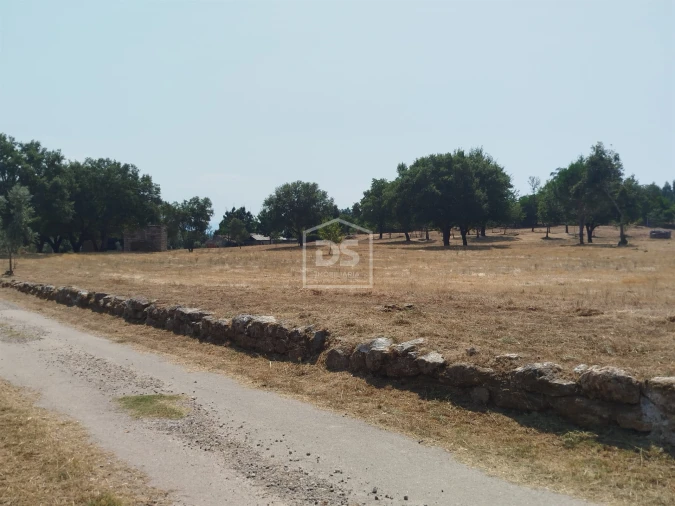 Terreno para Venda em Cabanas de Viriato Foto 4