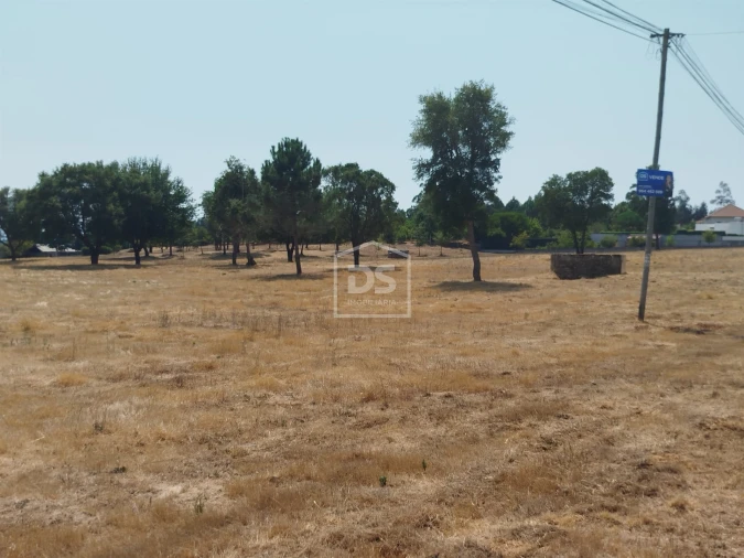Terreno para Venda em Cabanas de Viriato Foto 10