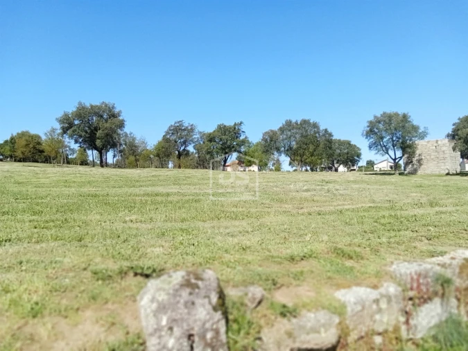 Terreno para Venda em Cabanas de Viriato Foto 3