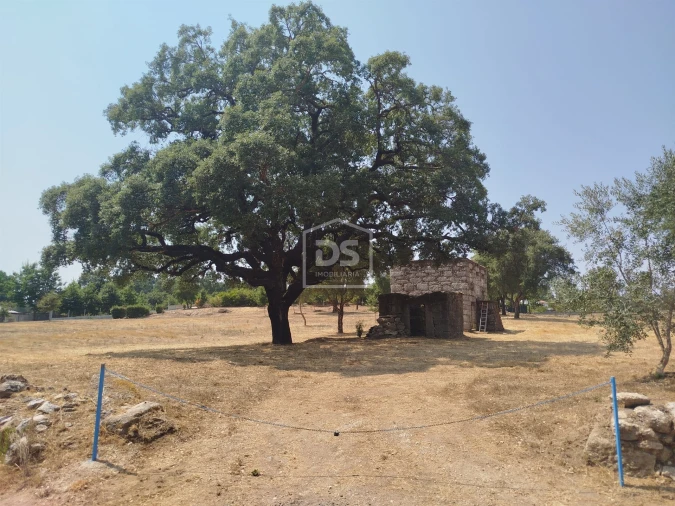 Terreno para Venda em Cabanas de Viriato Foto 41