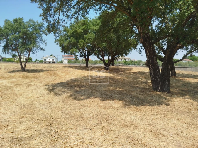 Terreno para Venda em Cabanas de Viriato Foto 28