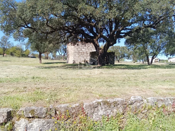 Terreno para Venda em Cabanas de Viriato Foto 8