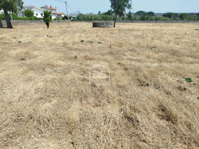 Terreno para Venda em Cabanas de Viriato Foto 20