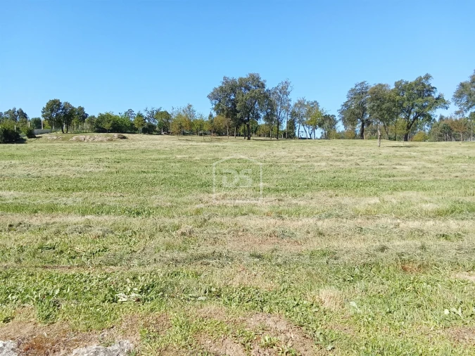Terreno para Venda em Cabanas de Viriato Foto 2