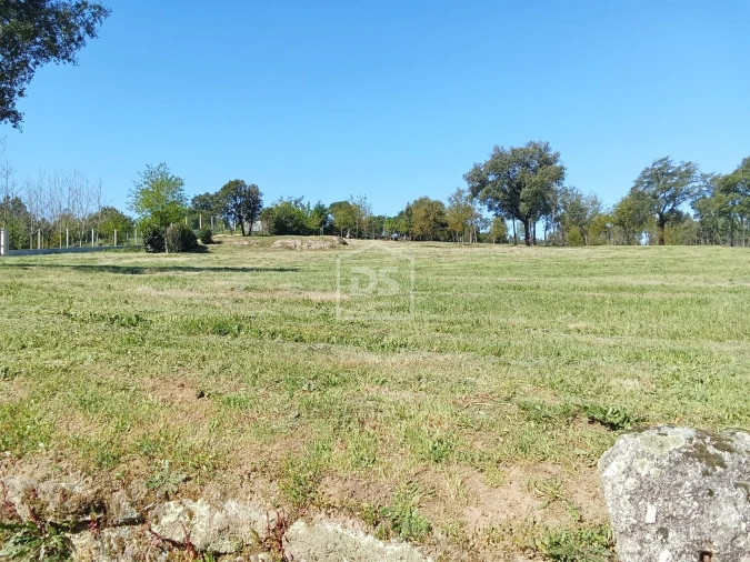 Terreno para Venda em Cabanas de Viriato Foto 6