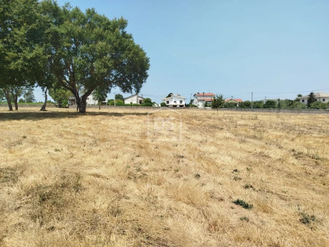 Terreno para Venda em Cabanas de Viriato Foto 31
