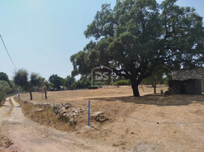 Terreno para Venda em Cabanas de Viriato Foto 40