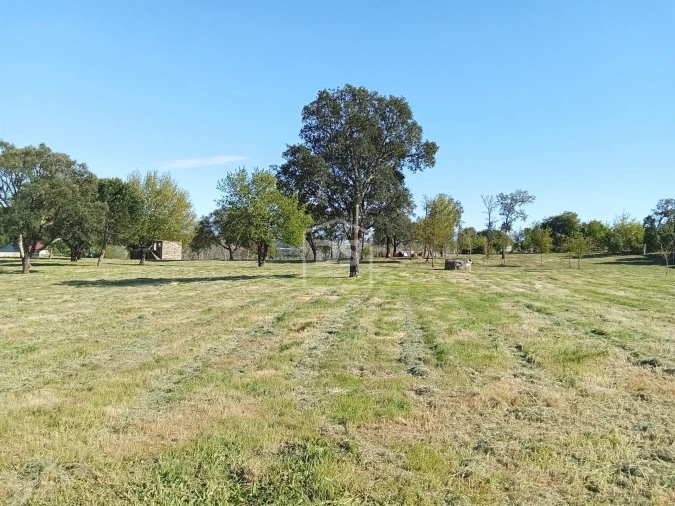 Terreno para Venda em Cabanas de Viriato