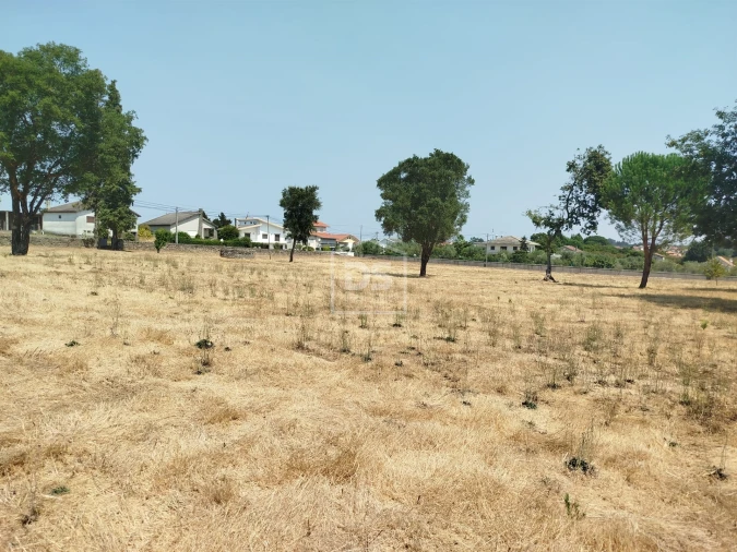 Terreno para Venda em Cabanas de Viriato Foto 19