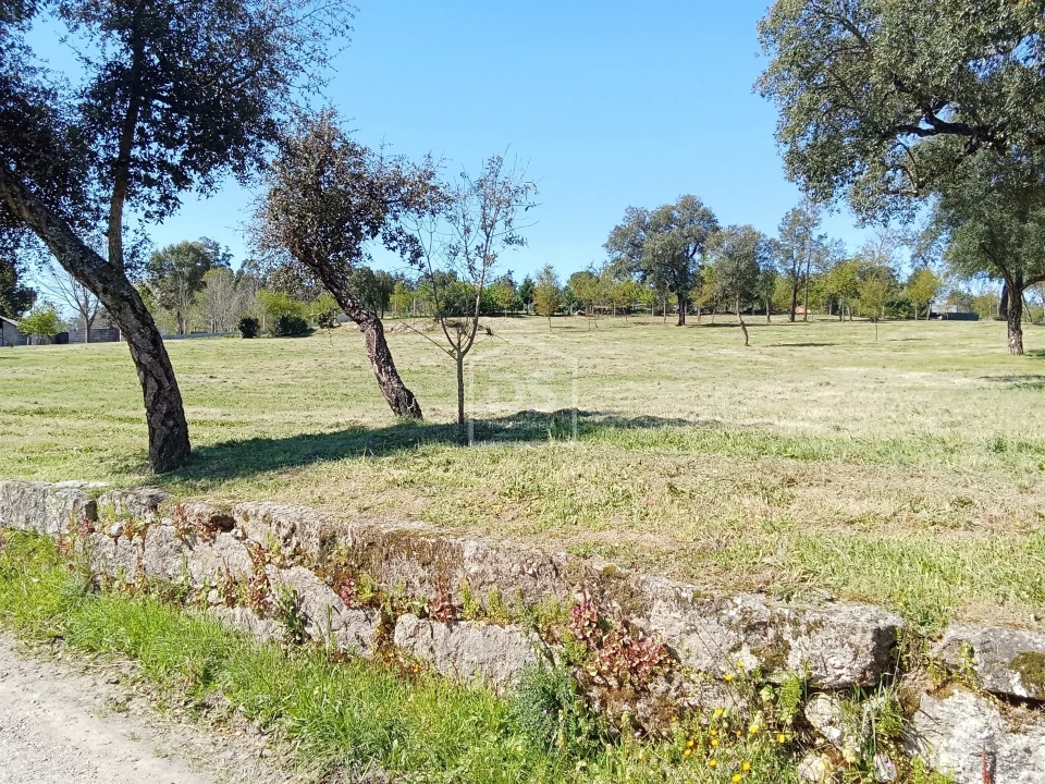 Terreno para Venda em Cabanas de Viriato Foto 4