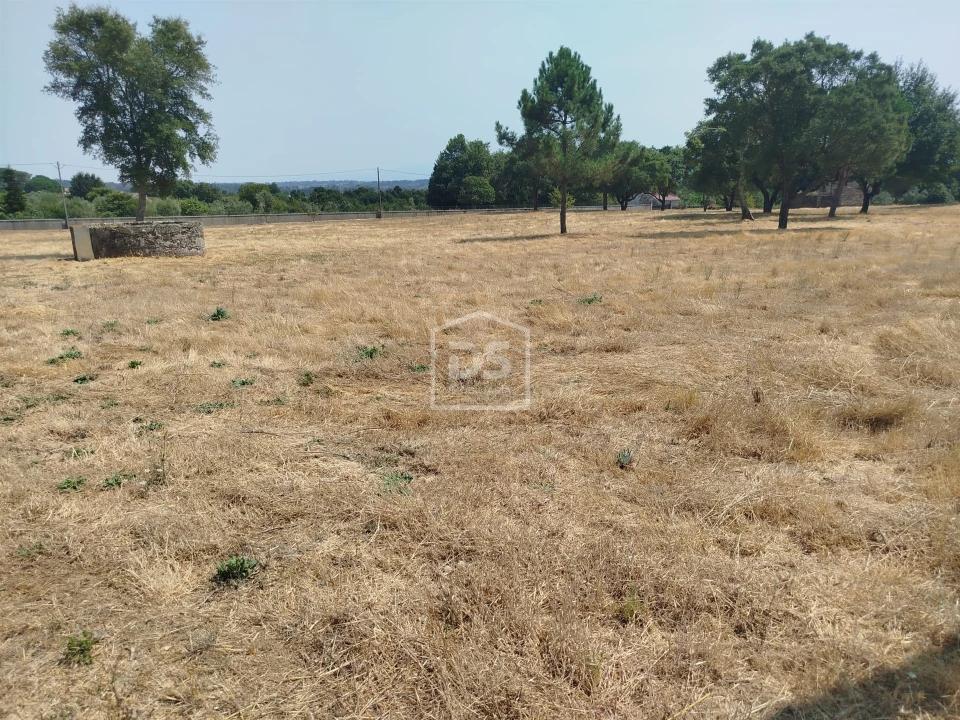 Terreno para Venda em Cabanas de Viriato Foto 18