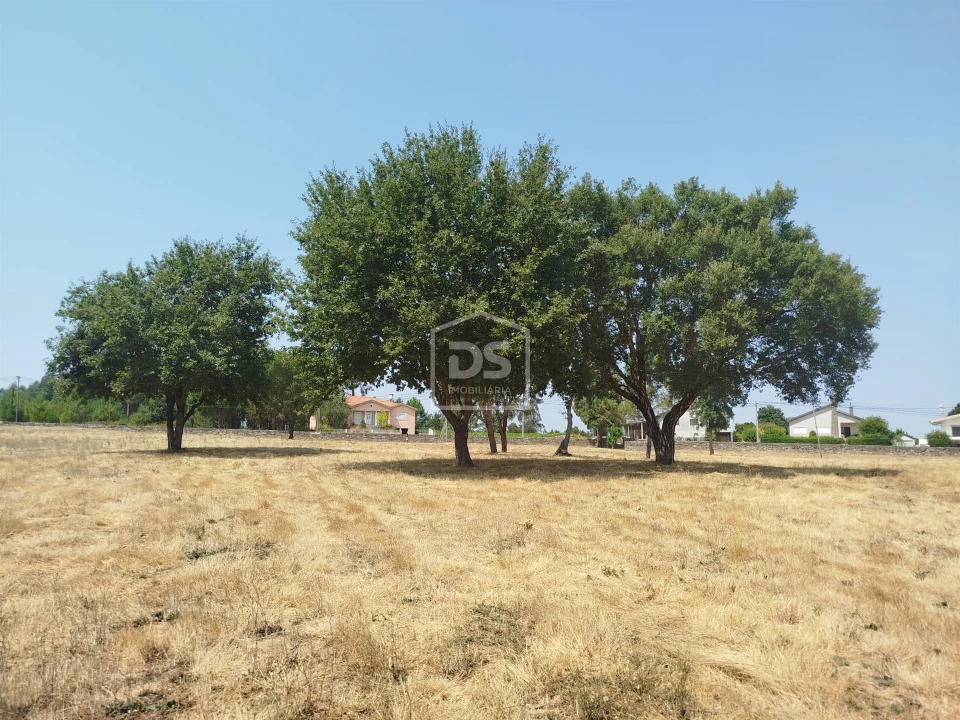 Terreno para Venda em Cabanas de Viriato Foto 26