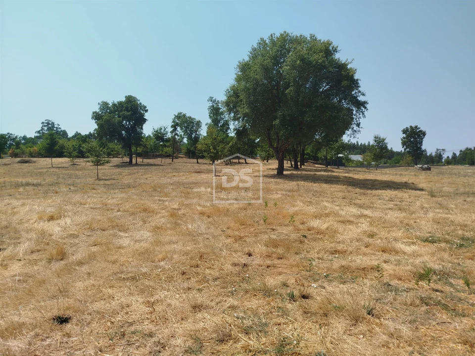 Terreno para Venda em Cabanas de Viriato Foto 33