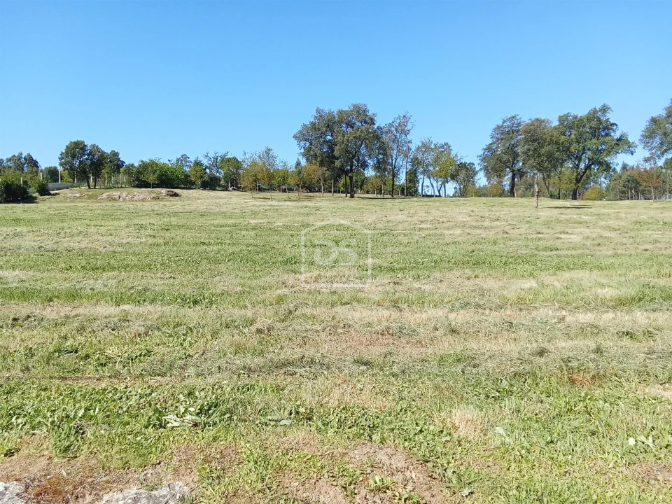 Terreno para Venda em Cabanas de Viriato Foto 2