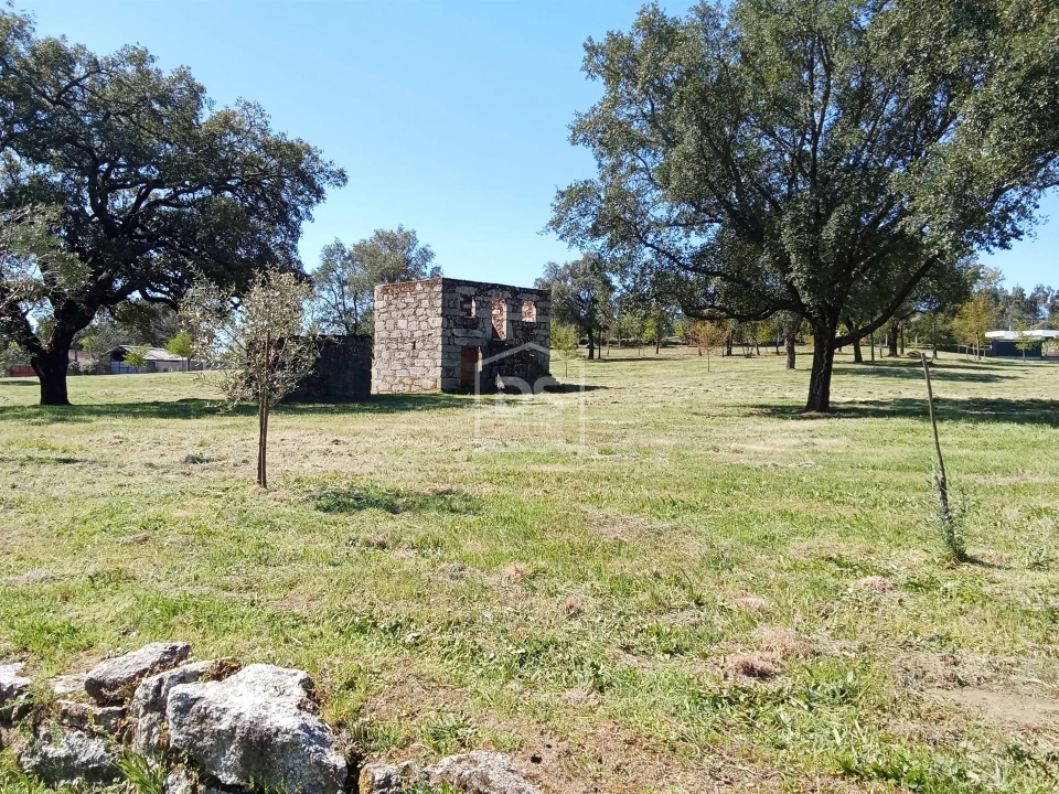 Terreno para Venda em Cabanas de Viriato Foto 11