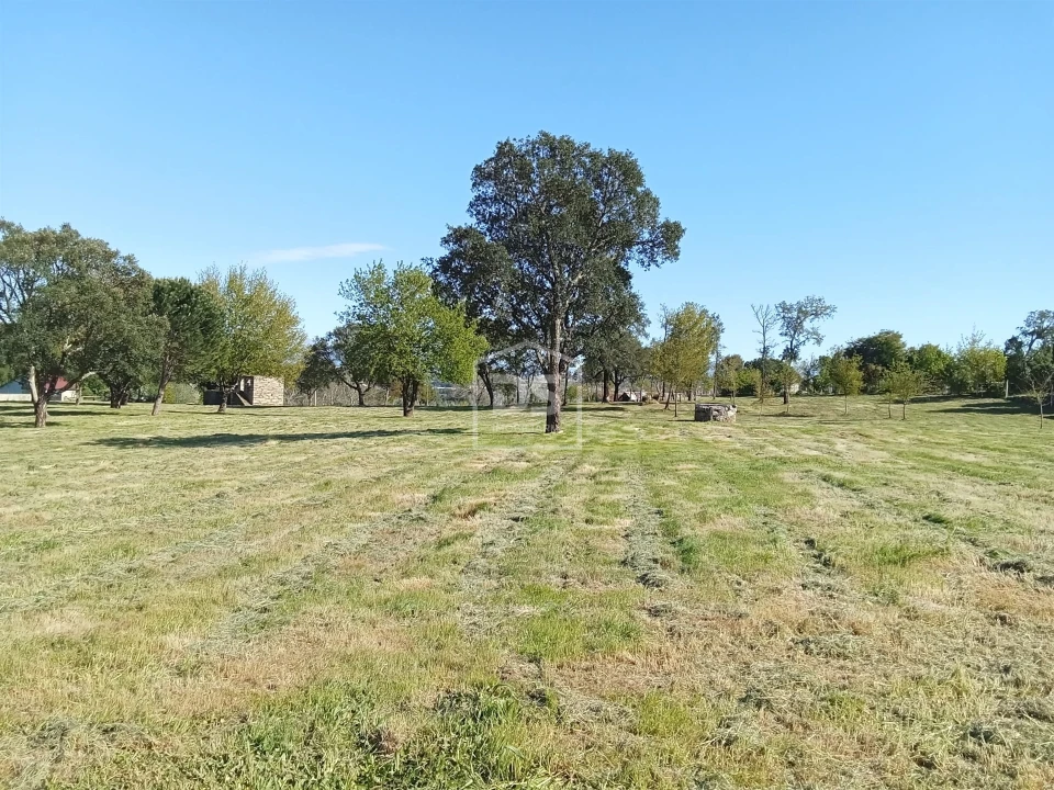 Terreno para Venda em Cabanas de Viriato Foto 1
