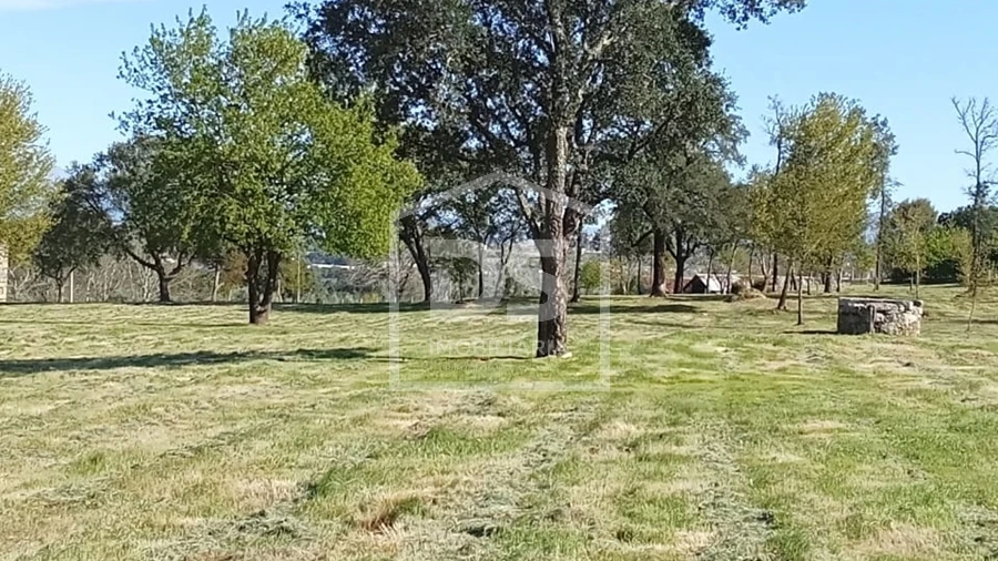 Terreno para Venda em Cabanas de Viriato