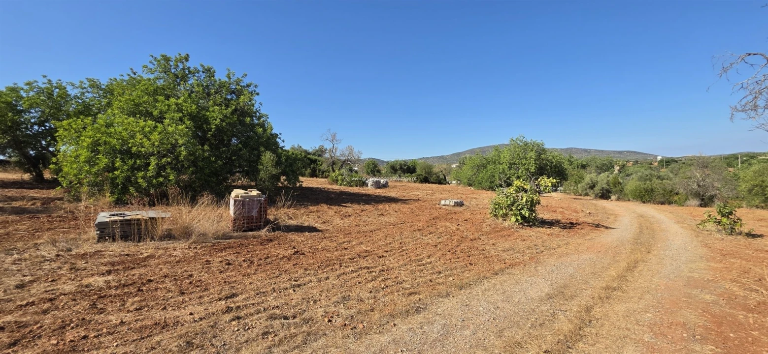 Quinta T0 para Venda em Quelfes Foto 23