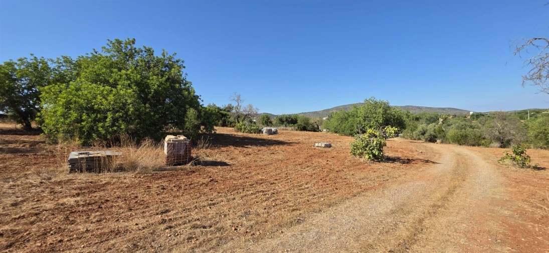 Quinta T0 para Venda em Quelfes Foto 23