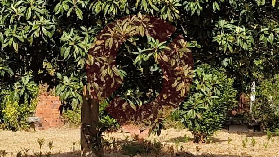 Terreno para Venda em Monção e Troviscoso