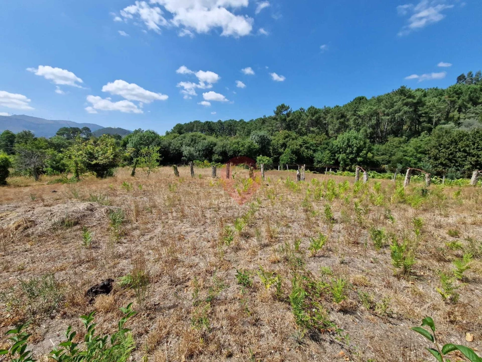 Moradia T3 para Venda em Tangil Foto 12