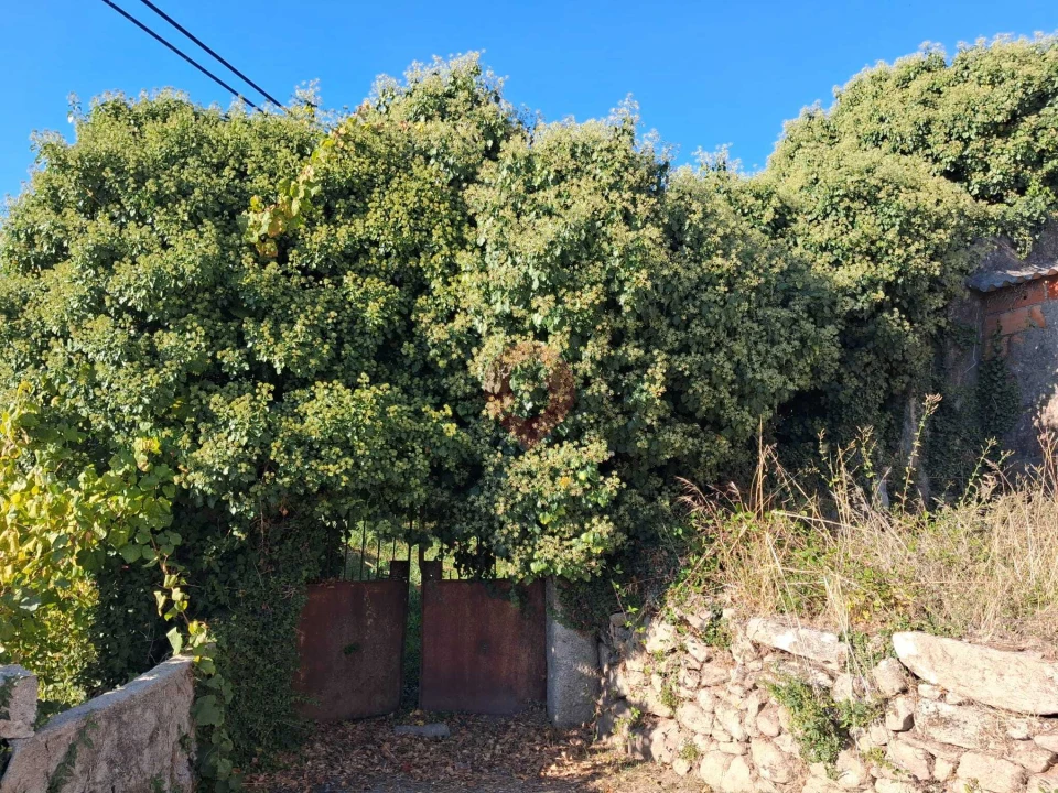 Moradia T0 para Venda em Segude Foto 6