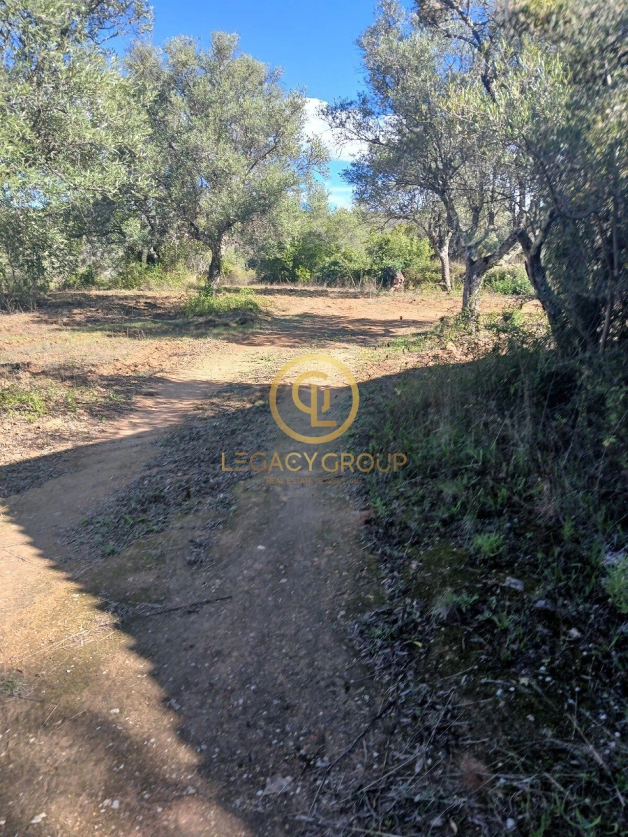 Terreno para Venda em Querença, Tôr e Benafim Foto 13