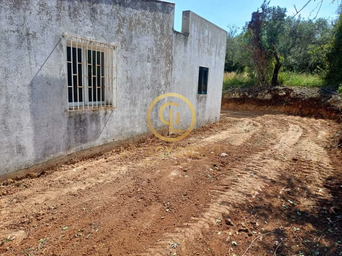Terreno para Venda em Querença, Tôr e Benafim Foto 6